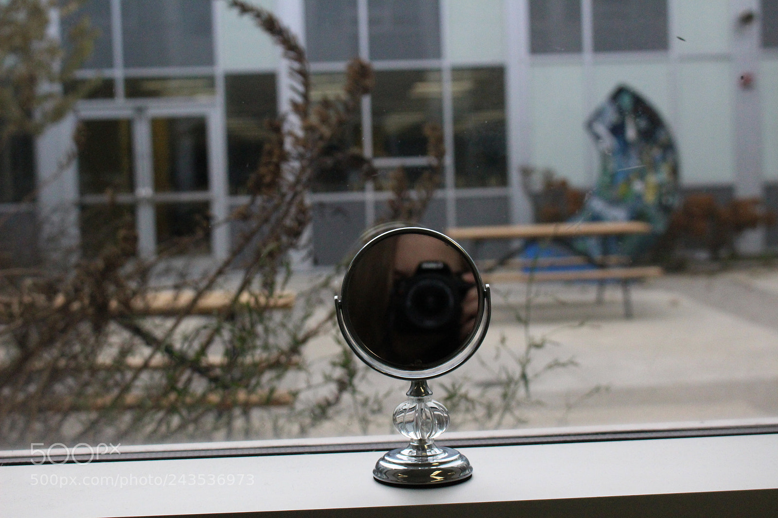 Canon EOS 100D (EOS Rebel SL1 / EOS Kiss X7) sample photo. Mirror tay photography