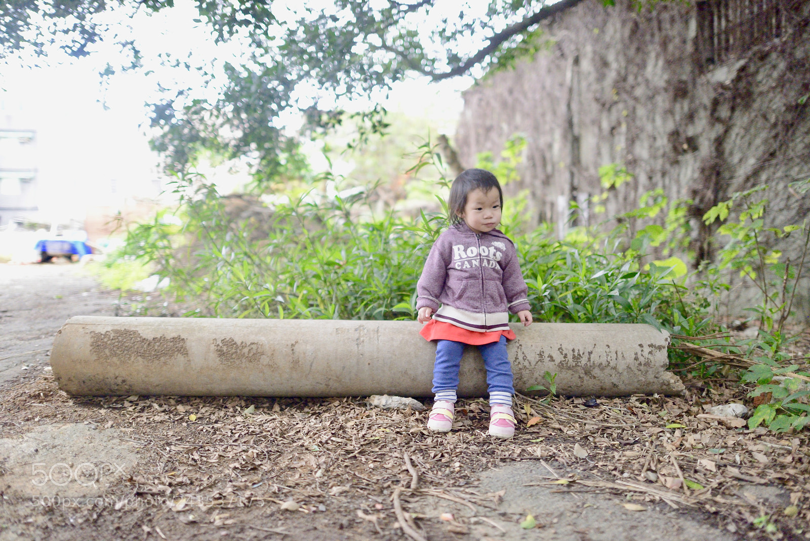 Nikon D800 sample photo. Untitled photography