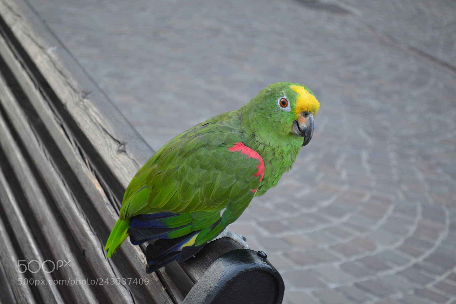 Nikon D3100 sample photo. Untitled photography