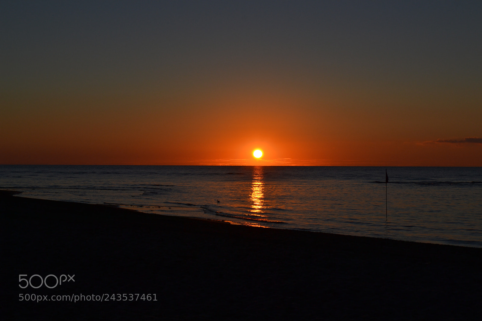 Nikon D3100 sample photo. Untitled photography