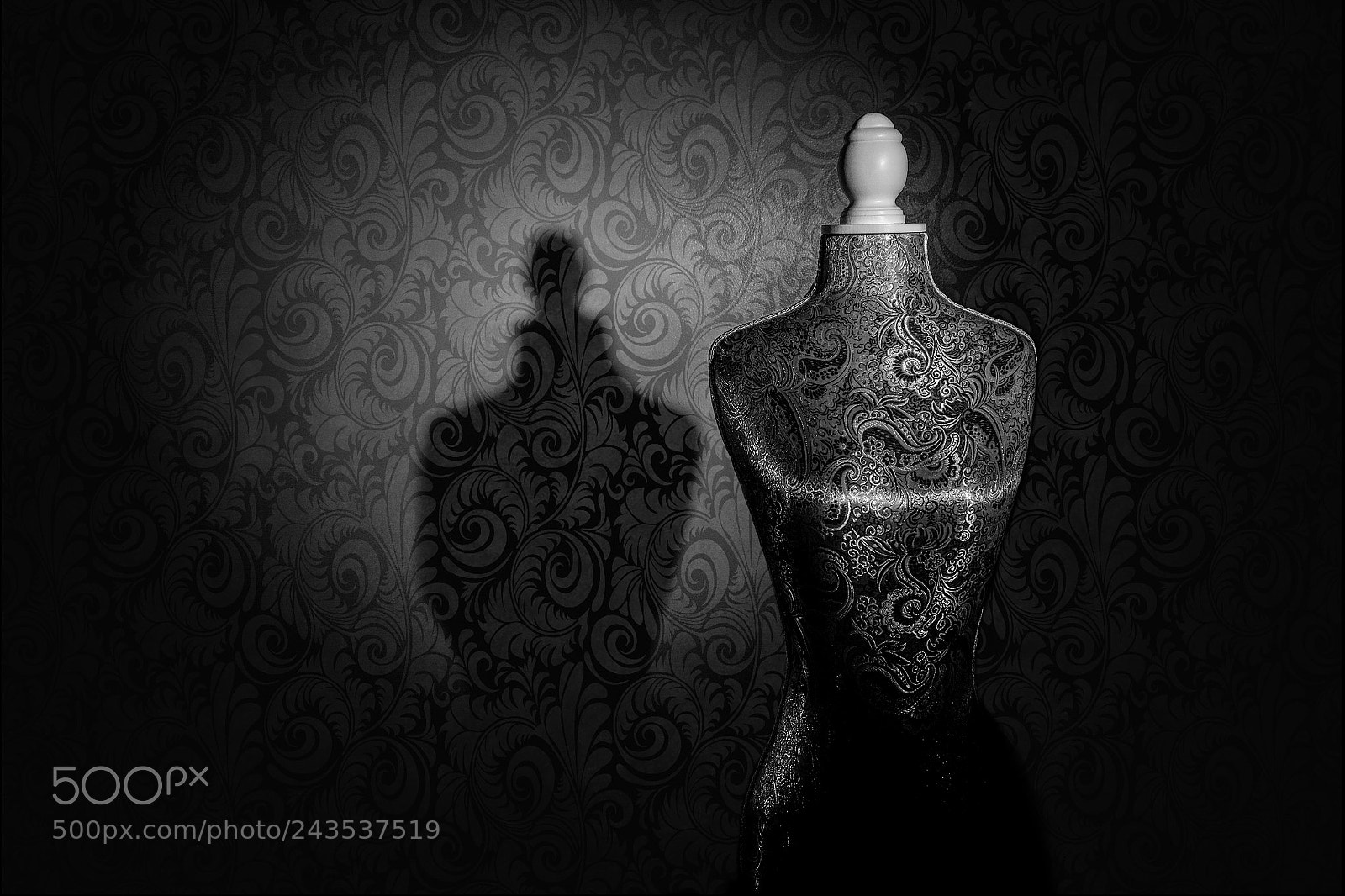 Fujifilm X-T1 sample photo. Paisley dress form photography