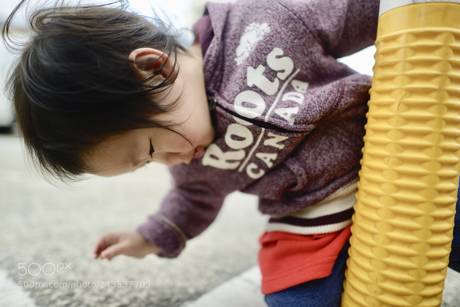 Nikon D800 sample photo. Untitled photography
