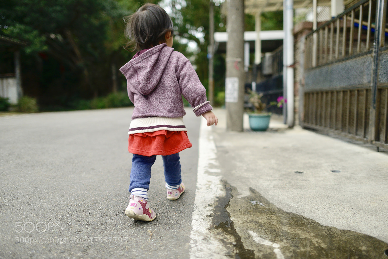 Nikon D800 sample photo. Untitled photography