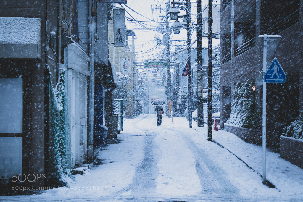 Canon EOS M5 sample photo. Snowfall photography