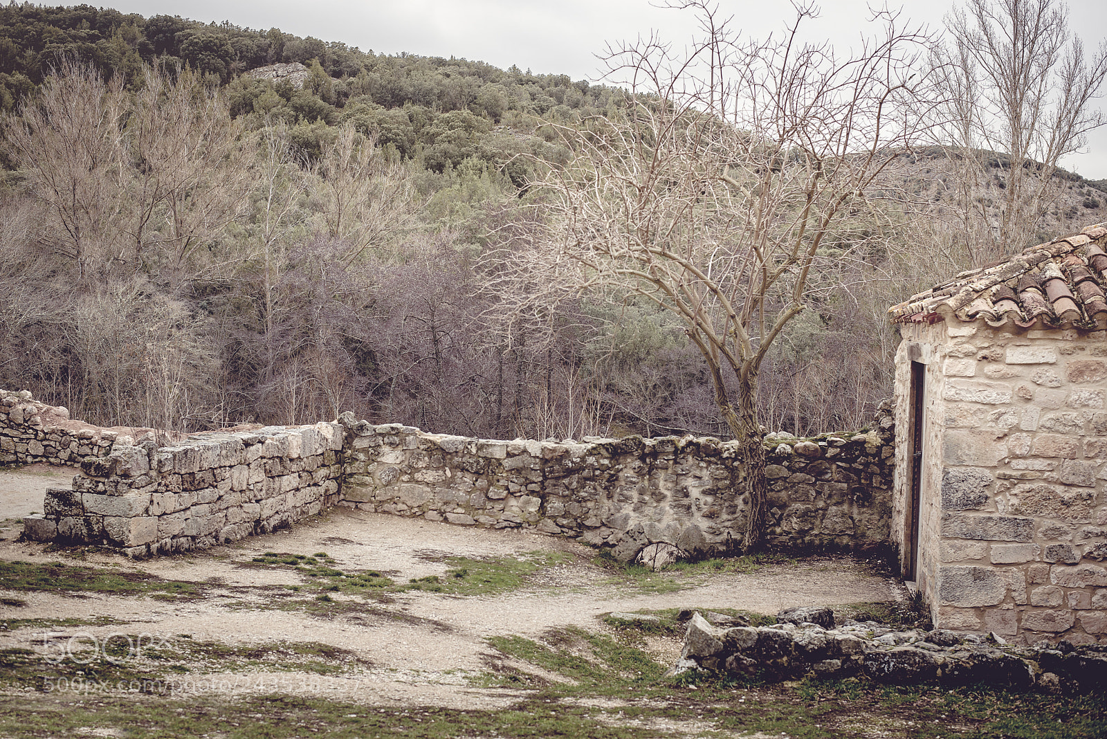 Nikon D610 sample photo. Views from the ruins photography