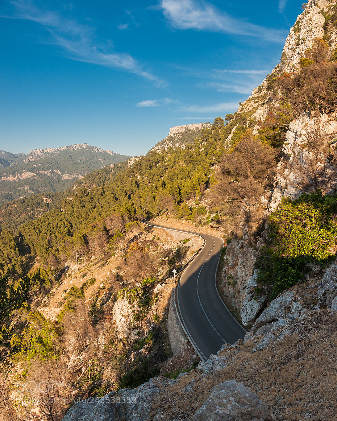 Sony Alpha DSLR-A900 sample photo. The road photography