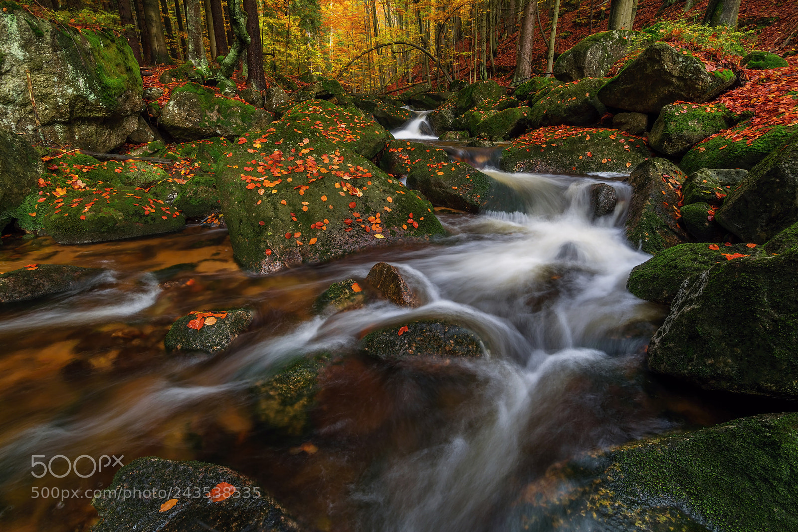 Nikon D7100 sample photo. Creek jedlova photography