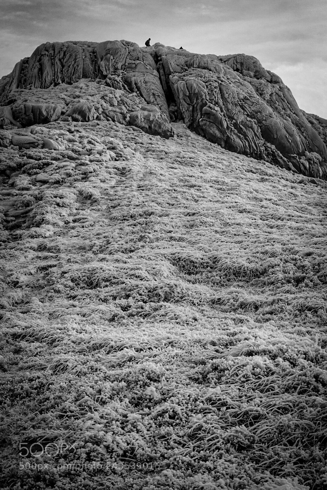 Sony ILCA-77M2 sample photo. Frozen doan photography