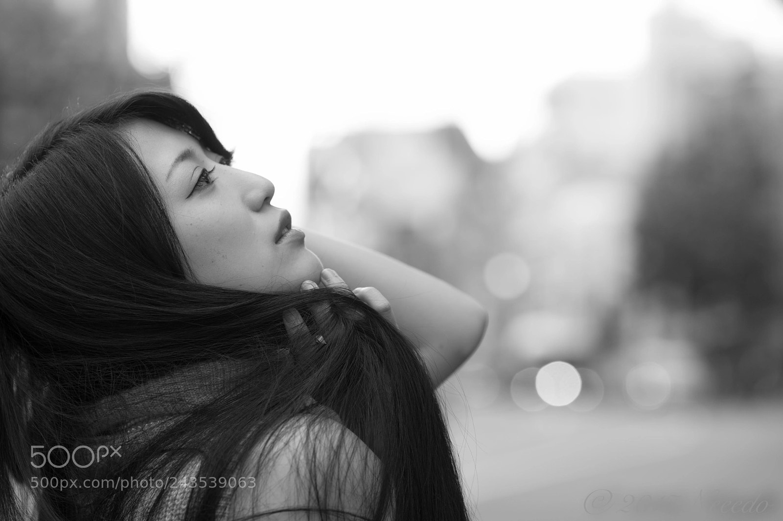 Canon EOS-1D Mark III sample photo. Cj photography