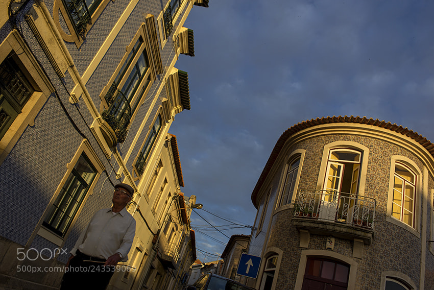 Nikon D610 sample photo. Aveiro photography