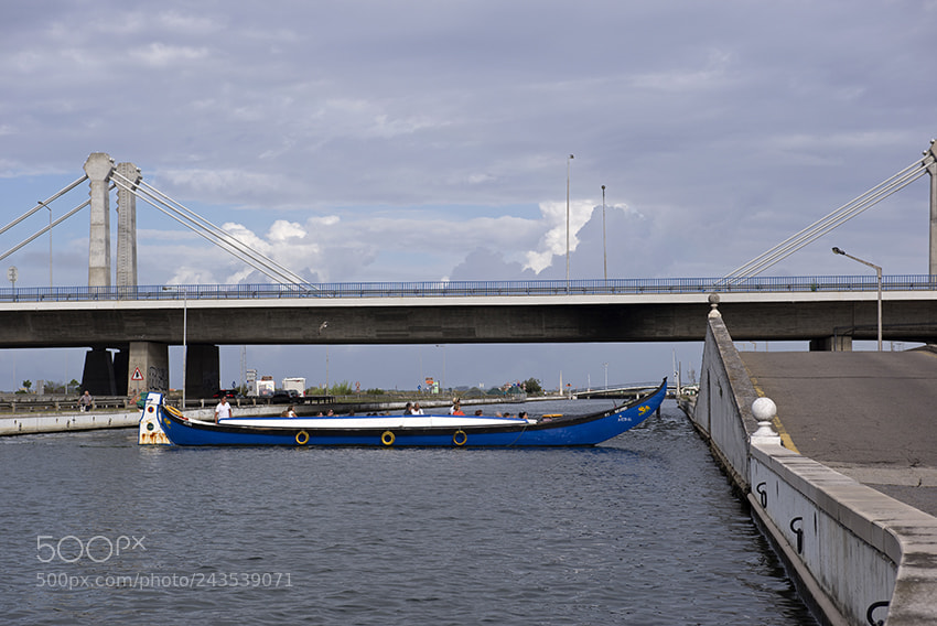 Nikon D610 sample photo. Aveiro photography