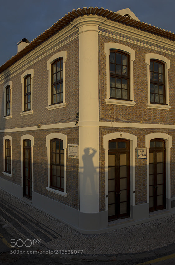 Nikon D610 sample photo. Aveiro photography