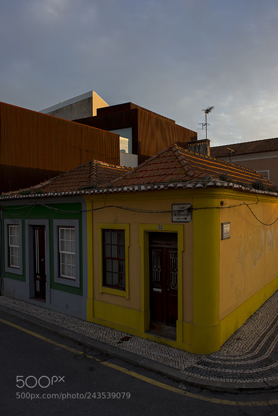 Nikon D610 sample photo. Aveiro photography