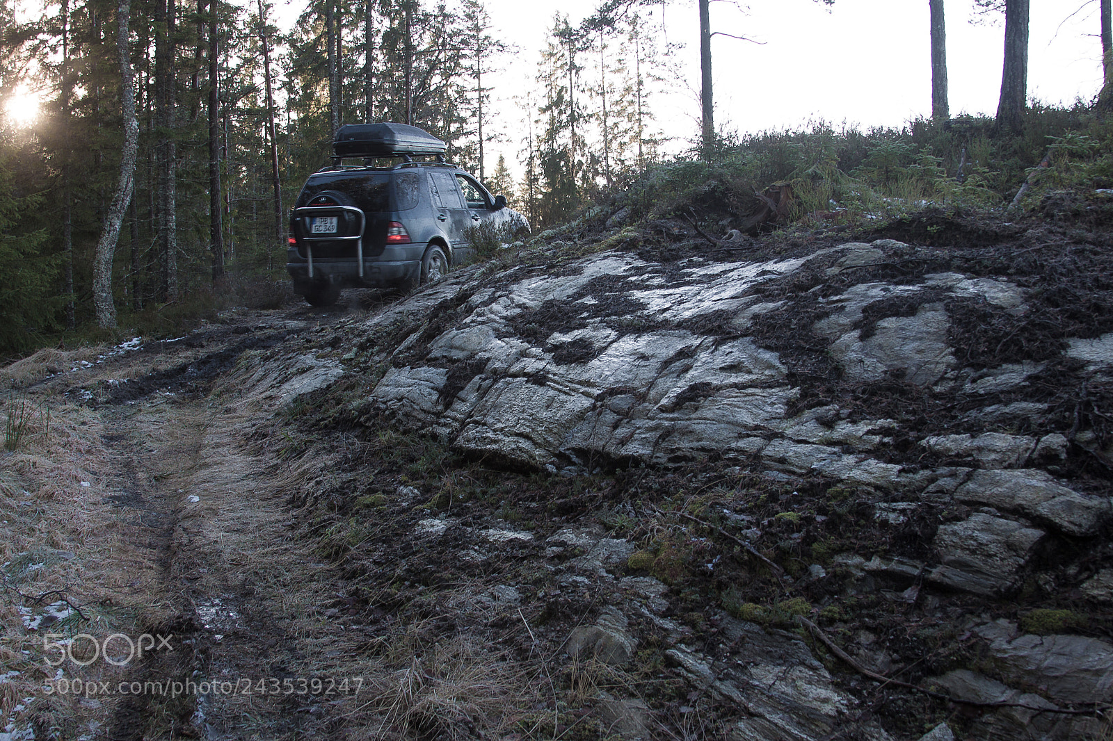 Canon EOS 50D sample photo. Into the woods photography