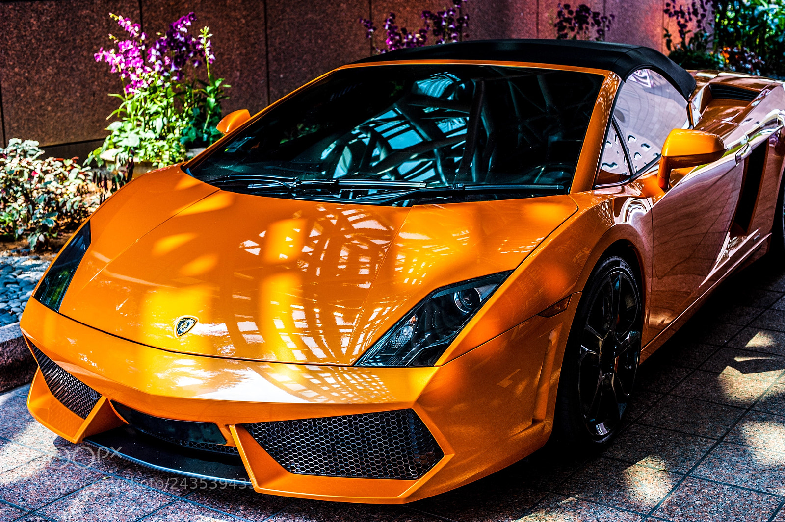 Nikon D3 sample photo. A lamborghini photography