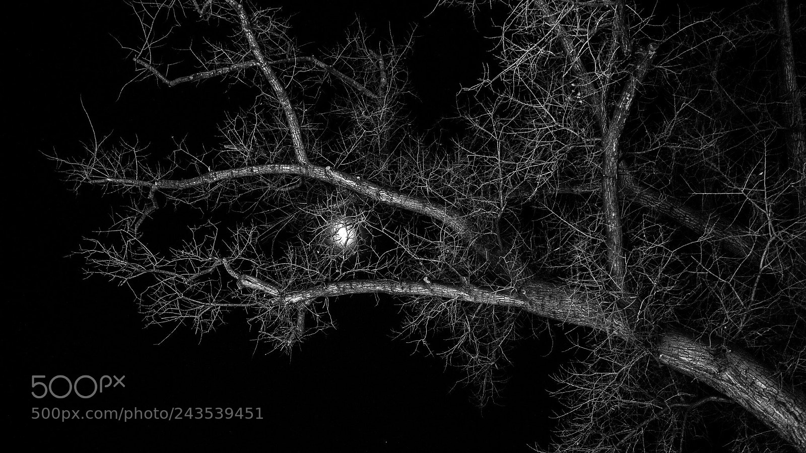 Canon EOS 650D (EOS Rebel T4i / EOS Kiss X6i) sample photo. Night eye photography