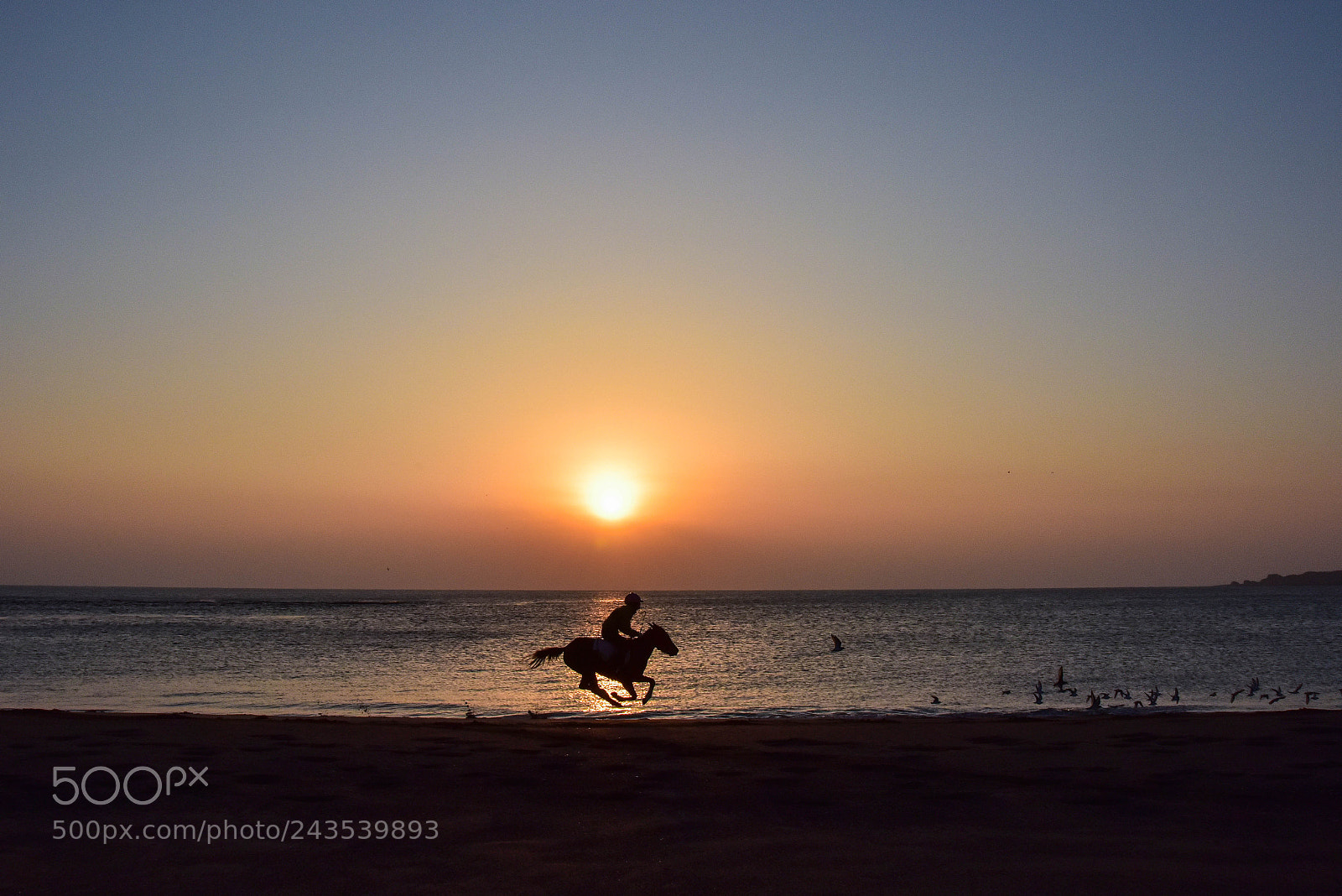 Nikon D810 sample photo. 광치기해변의 아침 photography