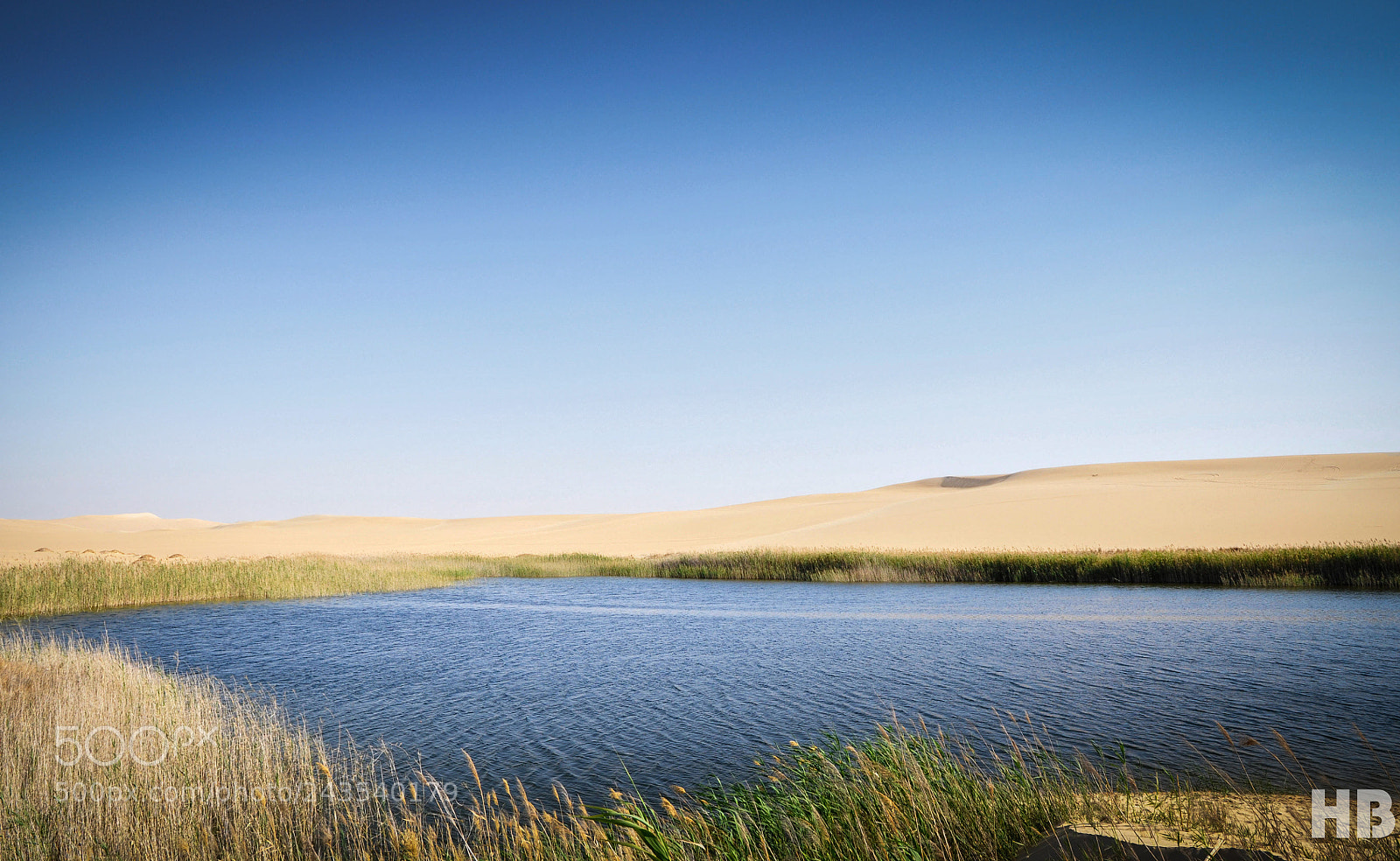Nikon D90 sample photo. Siwa oasis photography