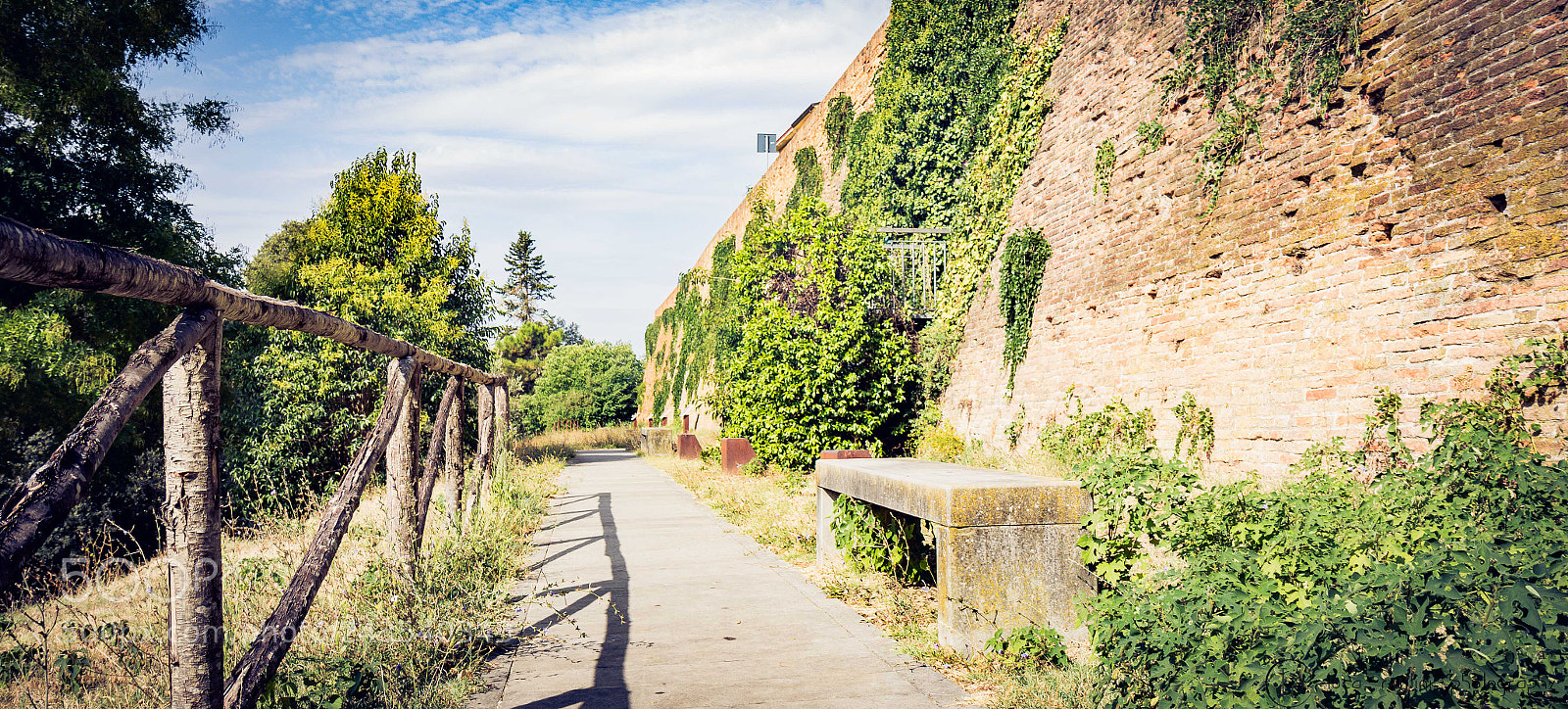 Canon EOS 7D Mark II sample photo. Panoramic road photography