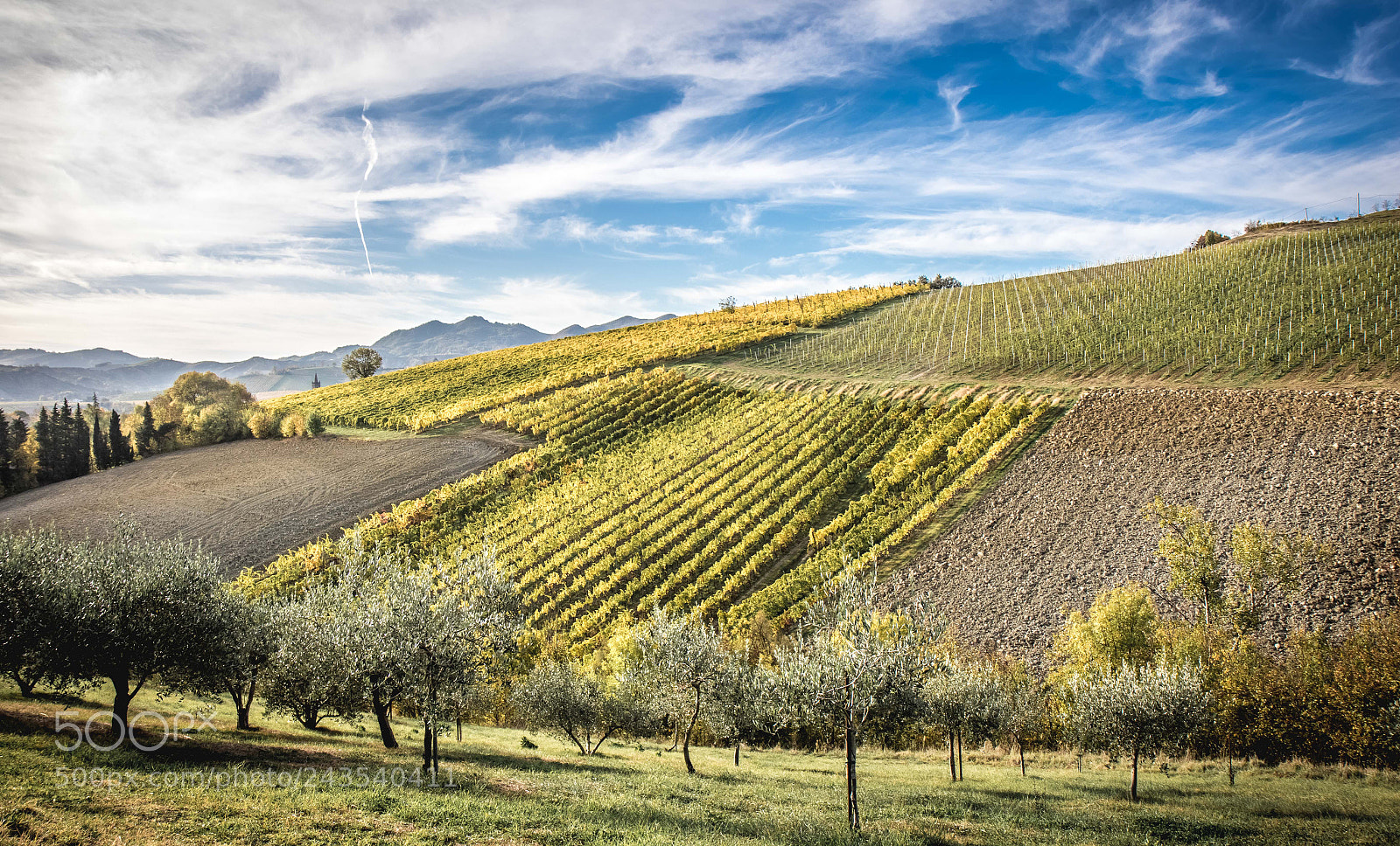 Canon EOS 7D Mark II sample photo. Hills & vineyard photography