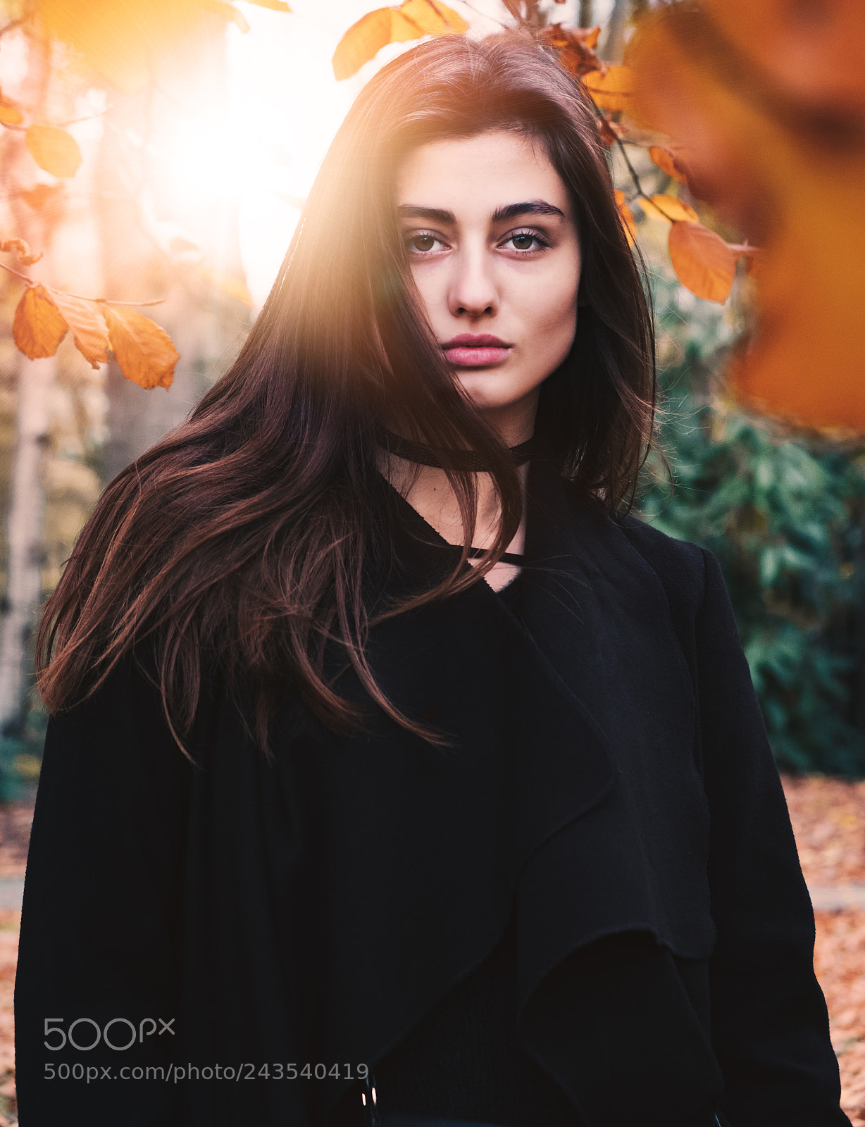 Fujifilm X-T2 sample photo. Autumn shoot photography