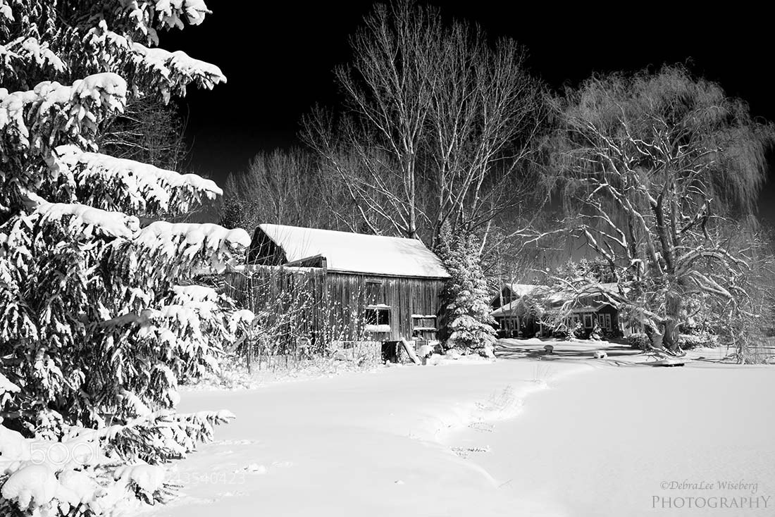 Nikon D800 sample photo. Rural winter wonderland photography