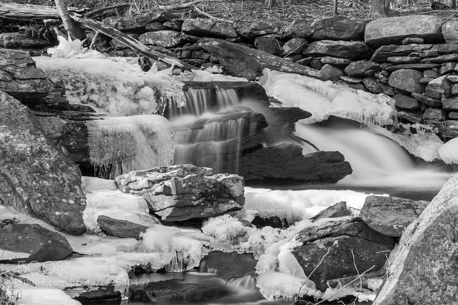 Nikon D810 sample photo. Wet winter wonderland i photography