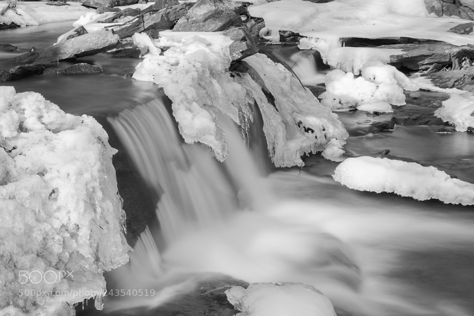 Nikon D810 sample photo. Wet winter wonderland ii photography