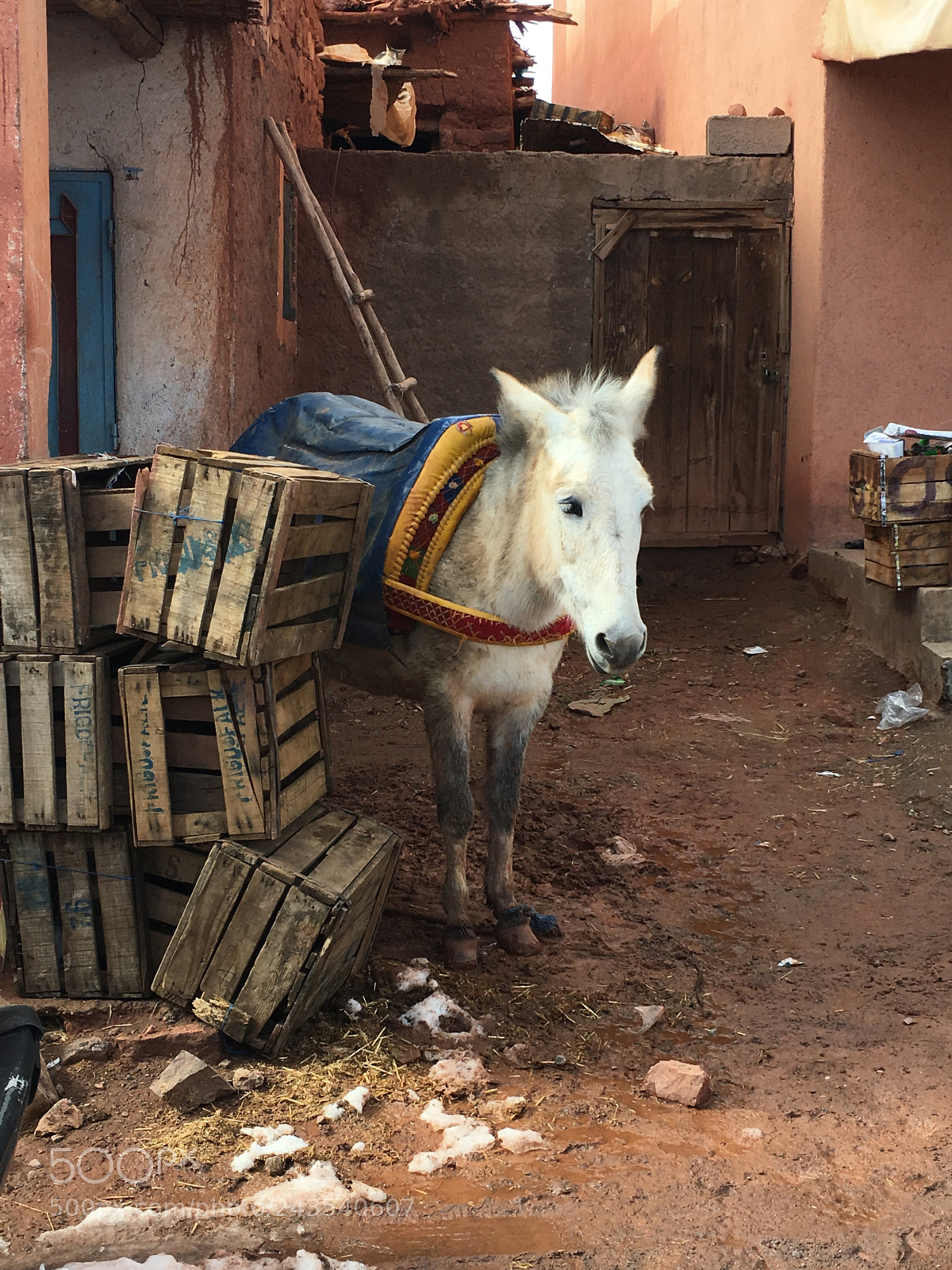 Apple iPhone 6s sample photo. Atlas mountains, morocco photography