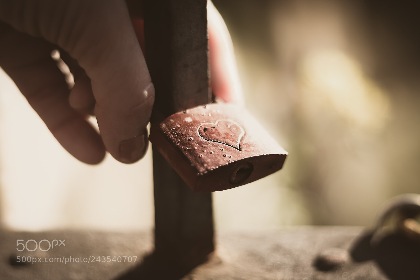 Canon EOS 77D (EOS 9000D / EOS 770D) sample photo. Love locks photography