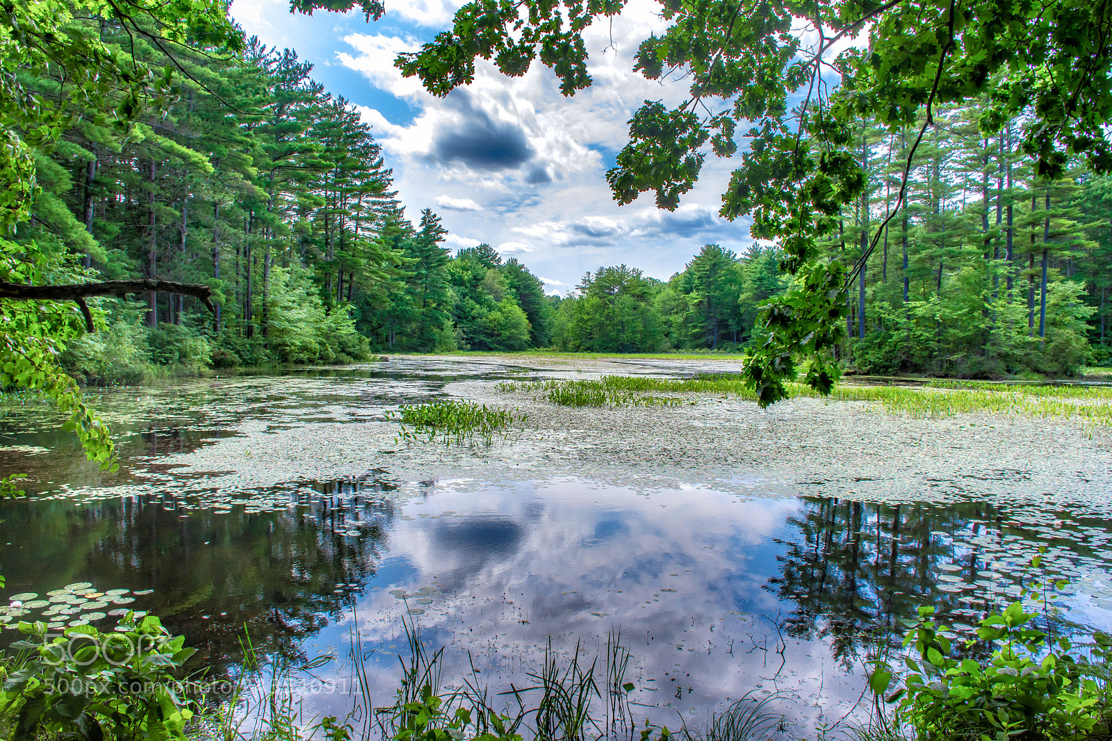 Nikon D7200 sample photo. Wason pond reflection photography