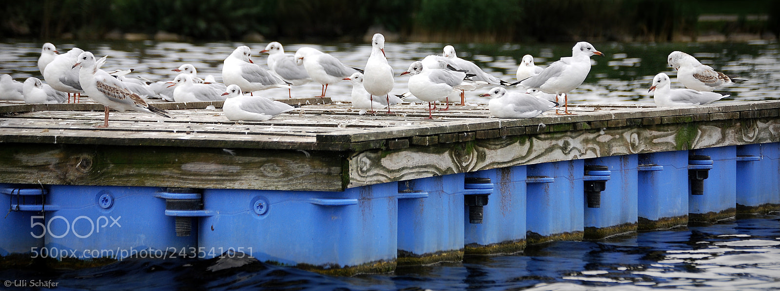 Nikon D40X sample photo. " landeplatz " photography