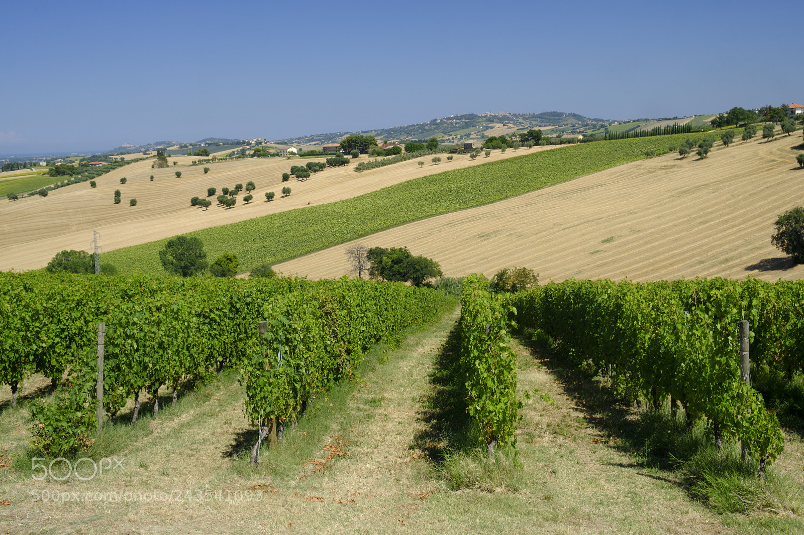 Fujifilm X-T2 sample photo. Summer landscape in marches photography