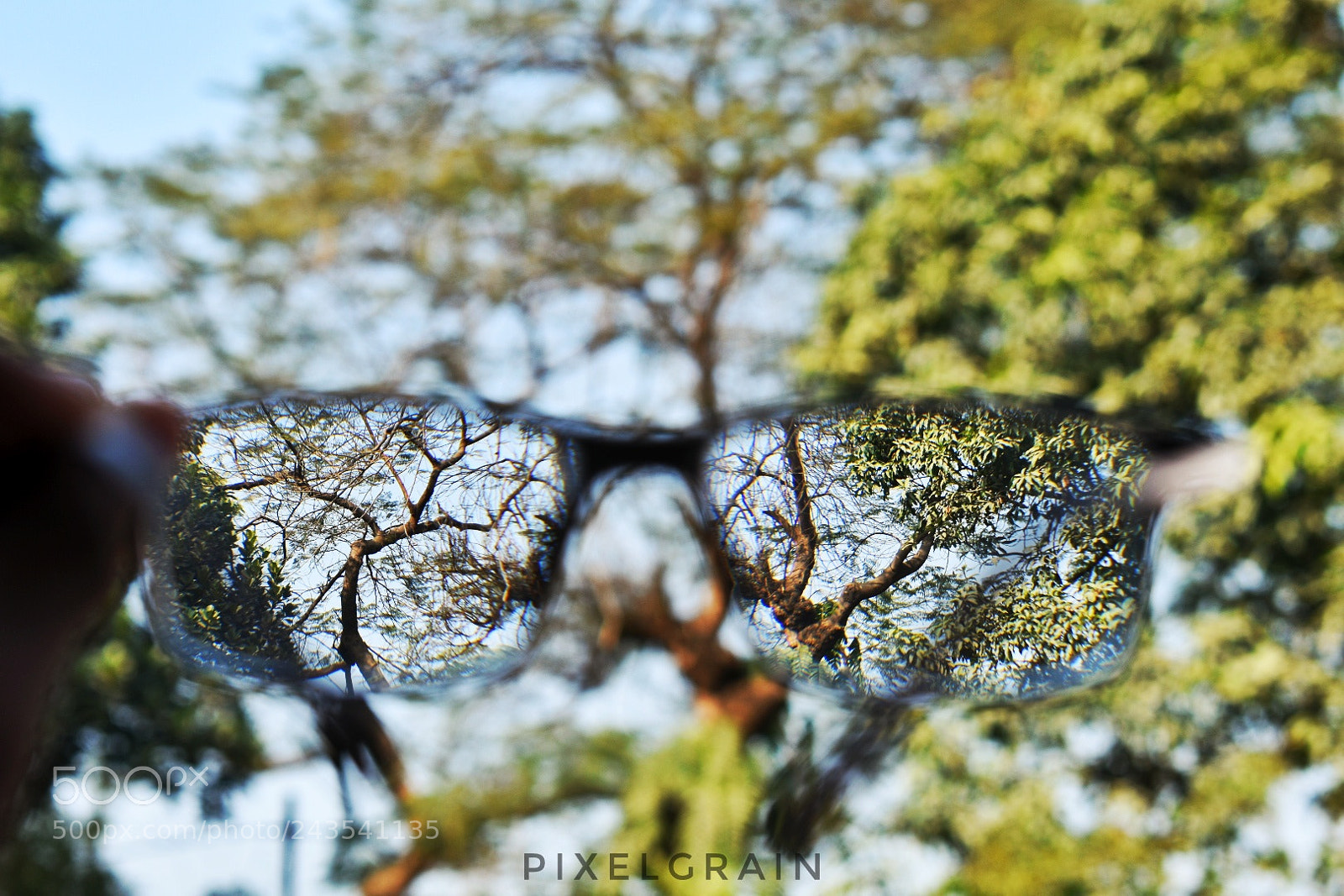 Nikon D3400 sample photo. Untitled photography