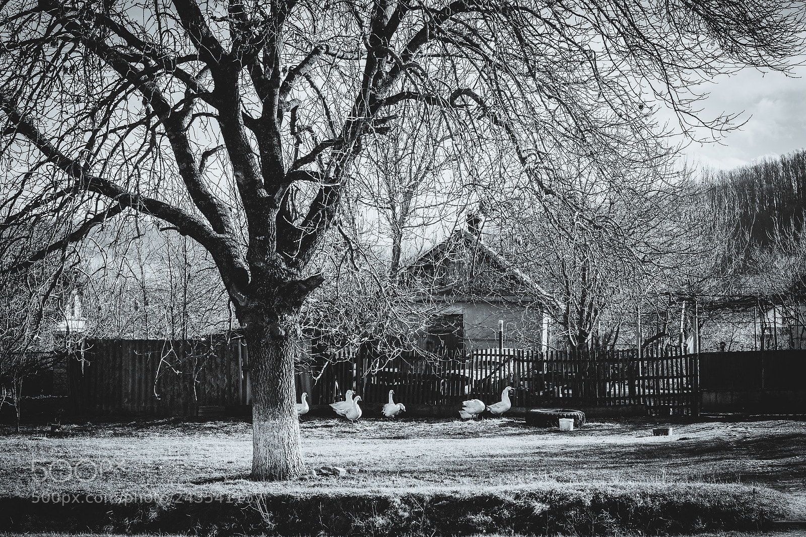 Nikon D5500 sample photo. Village photography