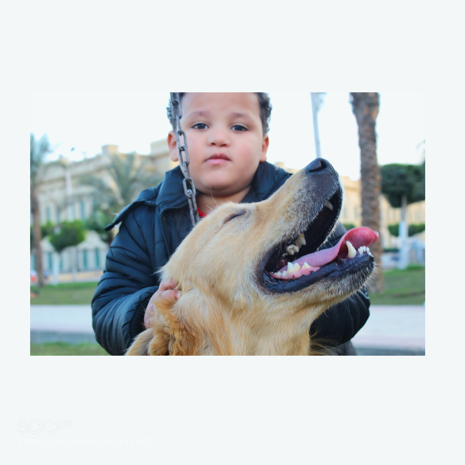 Canon EOS 1300D (EOS Rebel T6 / EOS Kiss X80) sample photo. Dog smile photography