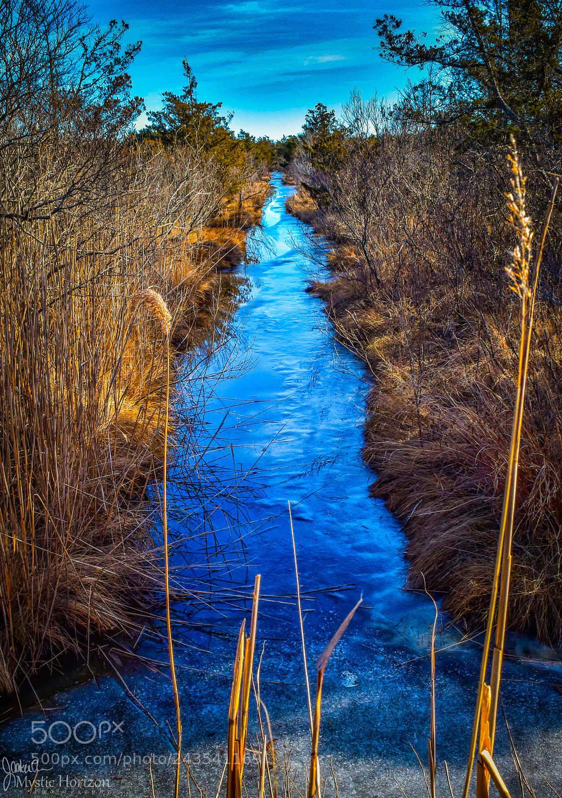 Nikon D5500 sample photo. Cracked photography