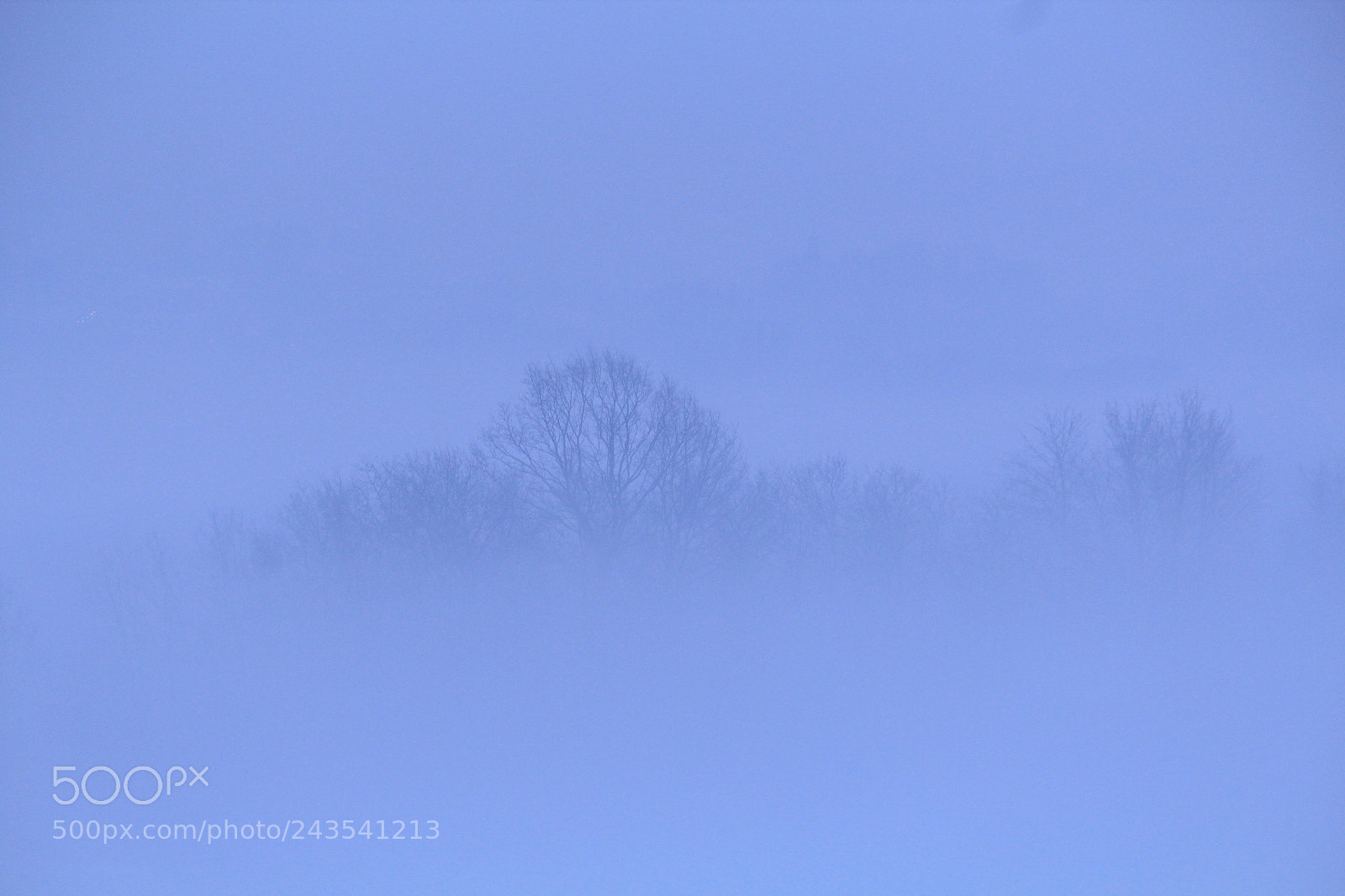Canon EF-S 55-250mm F4-5.6 IS II sample photo. The mysterious view photography