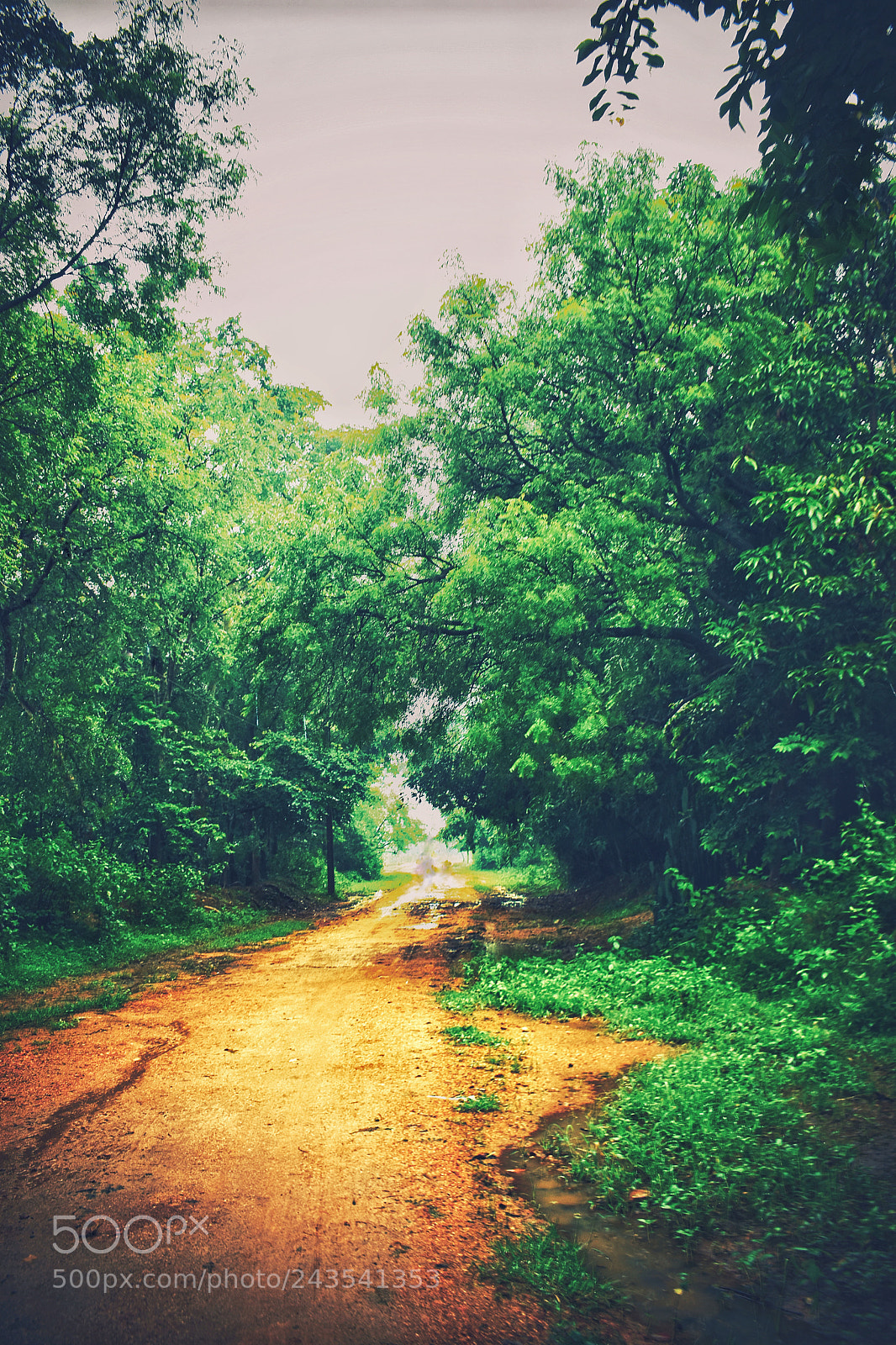 Nikon D5600 sample photo. Untitled photography