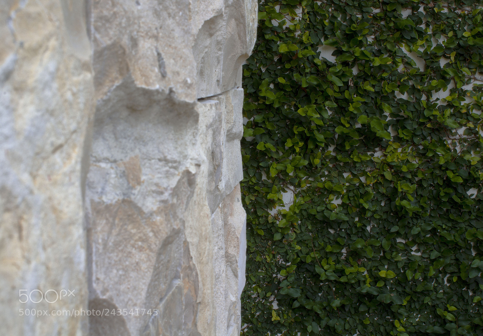 Canon EOS 1200D (EOS Rebel T5 / EOS Kiss X70 / EOS Hi) sample photo. Stone & green photography