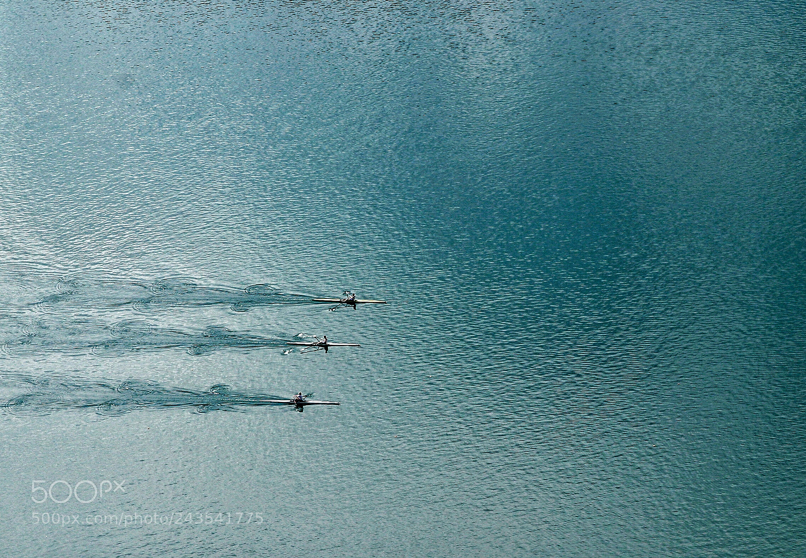 Canon EOS 10D sample photo. Three rowers photography