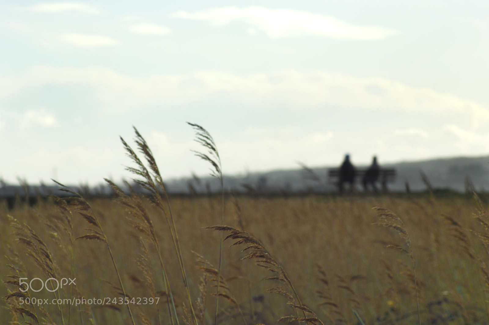 Nikon D3200 sample photo. Viewpoint from beyond a photography