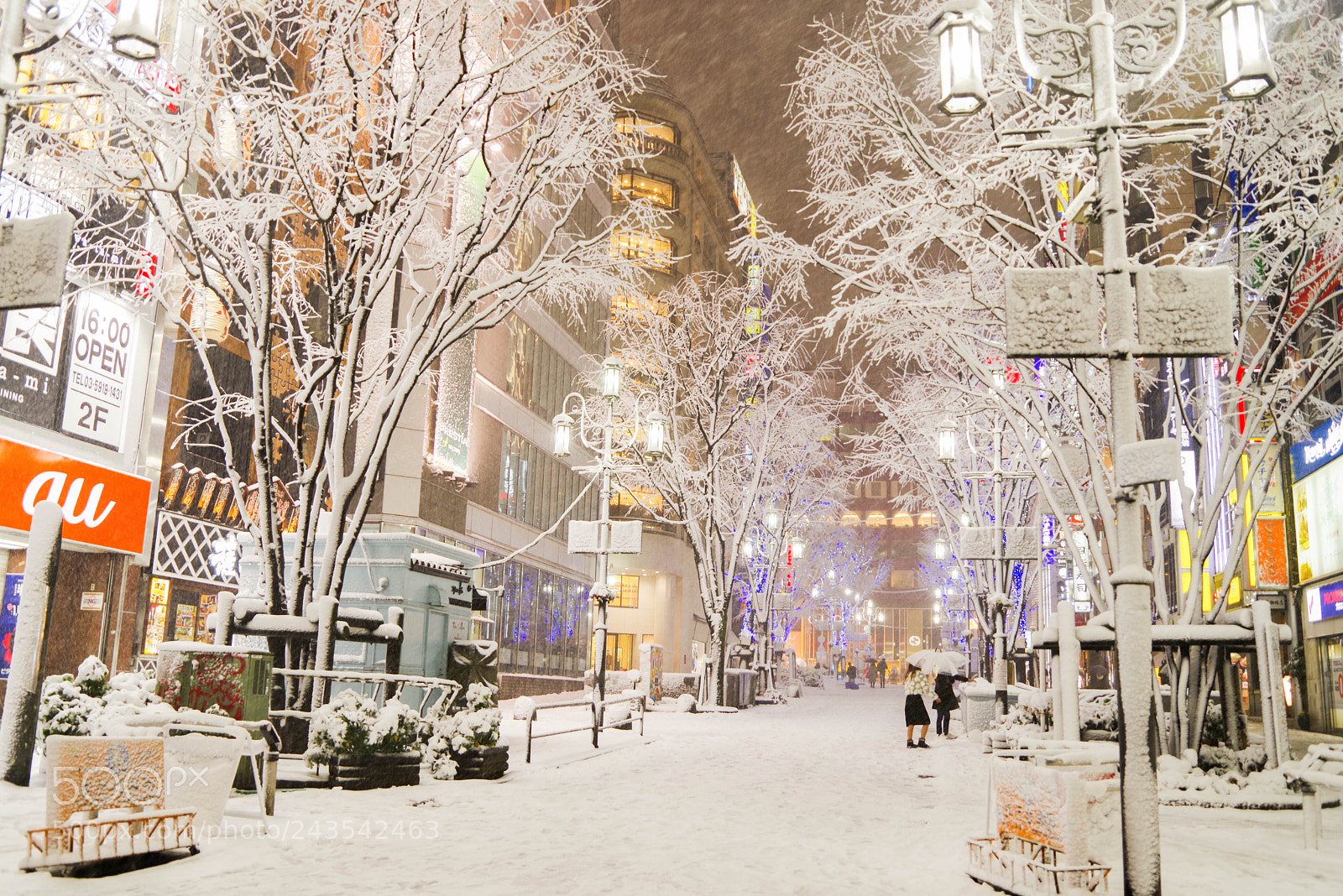 Pentax K-1 sample photo. 雪夜の新宿 　輝き photography