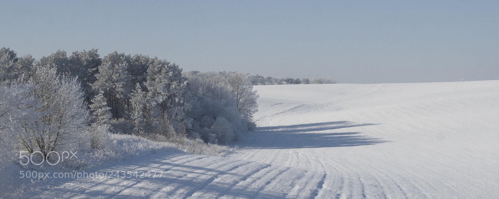 Sony a7R sample photo. Frosty sunny day photography