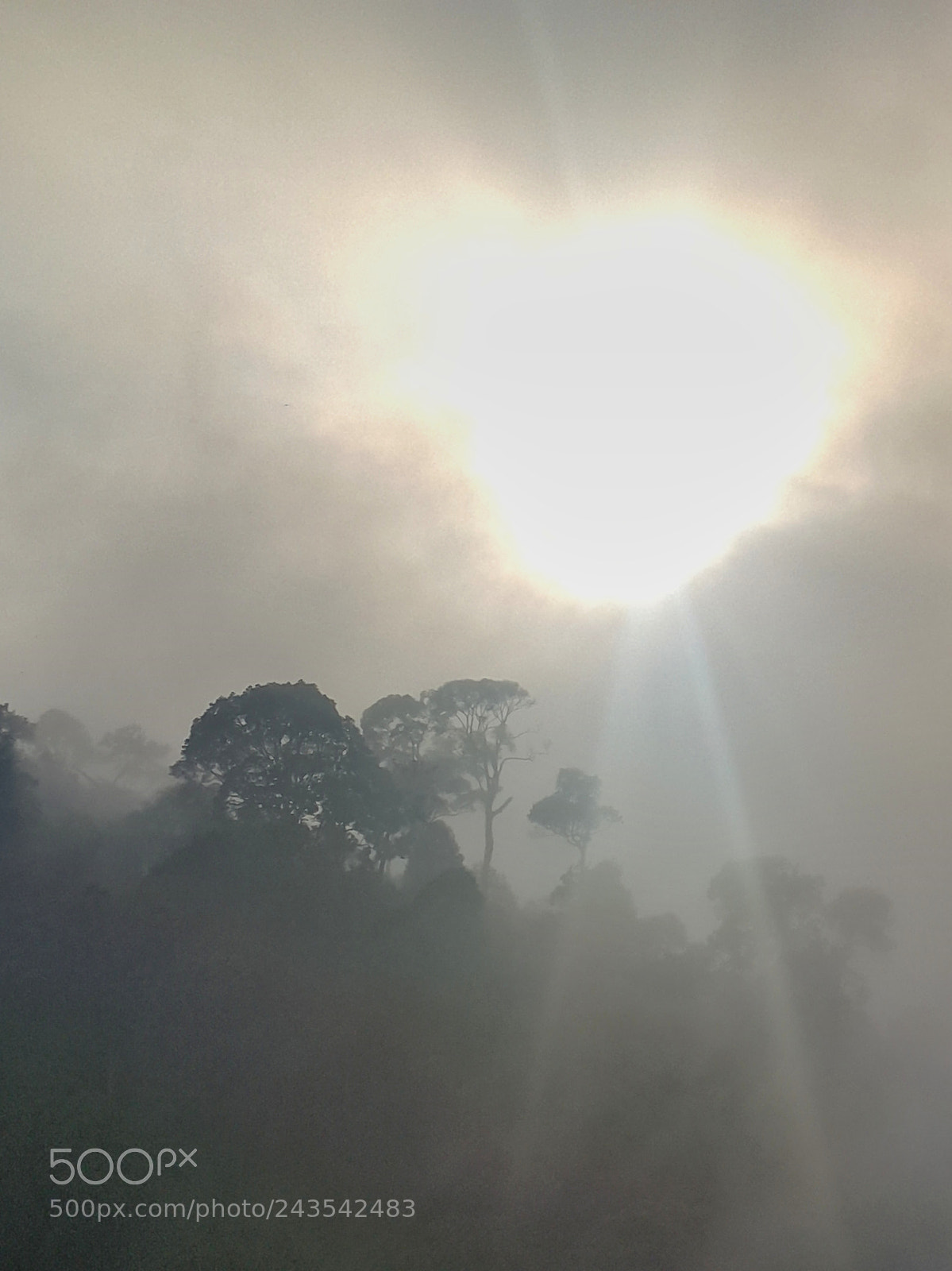 Samsung Galaxy Note4 sample photo. Light through the mist photography