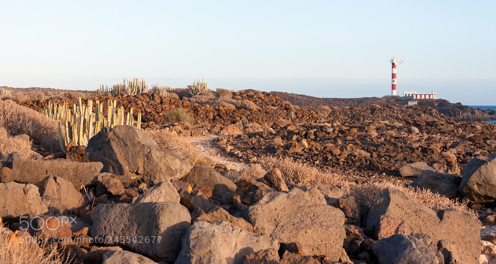 Canon EOS 450D (EOS Rebel XSi / EOS Kiss X2) sample photo. Desert photography
