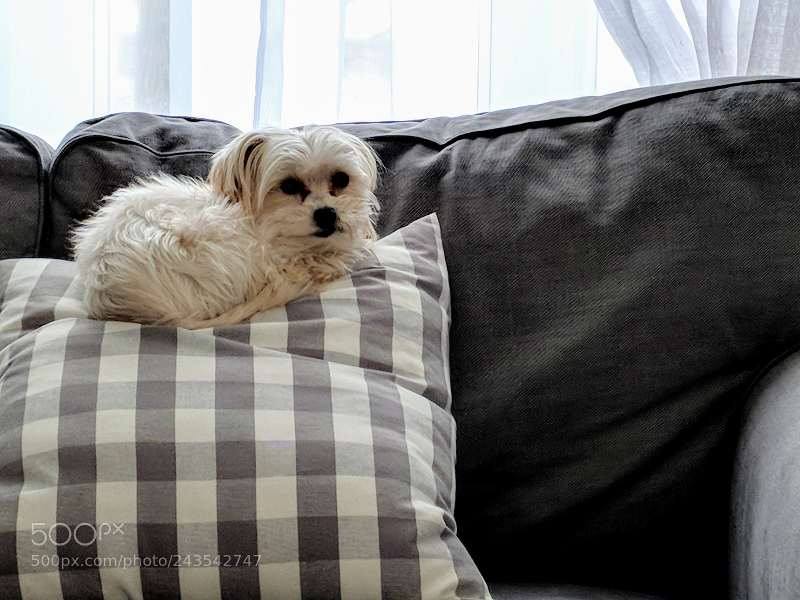 Google Pixel 2 sample photo. Mvimg_20180119_125955.jpg photography