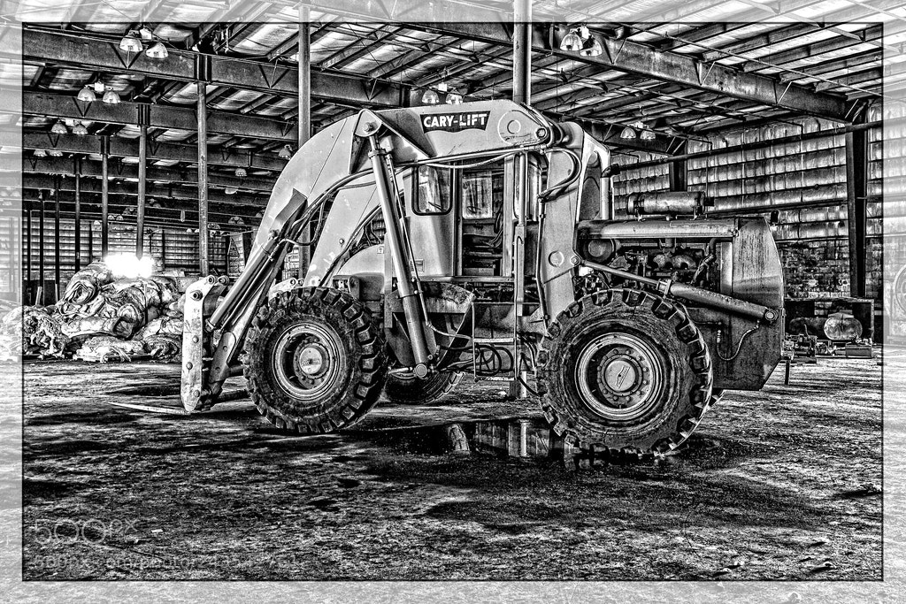 Canon EOS 60D sample photo. Log loader photography