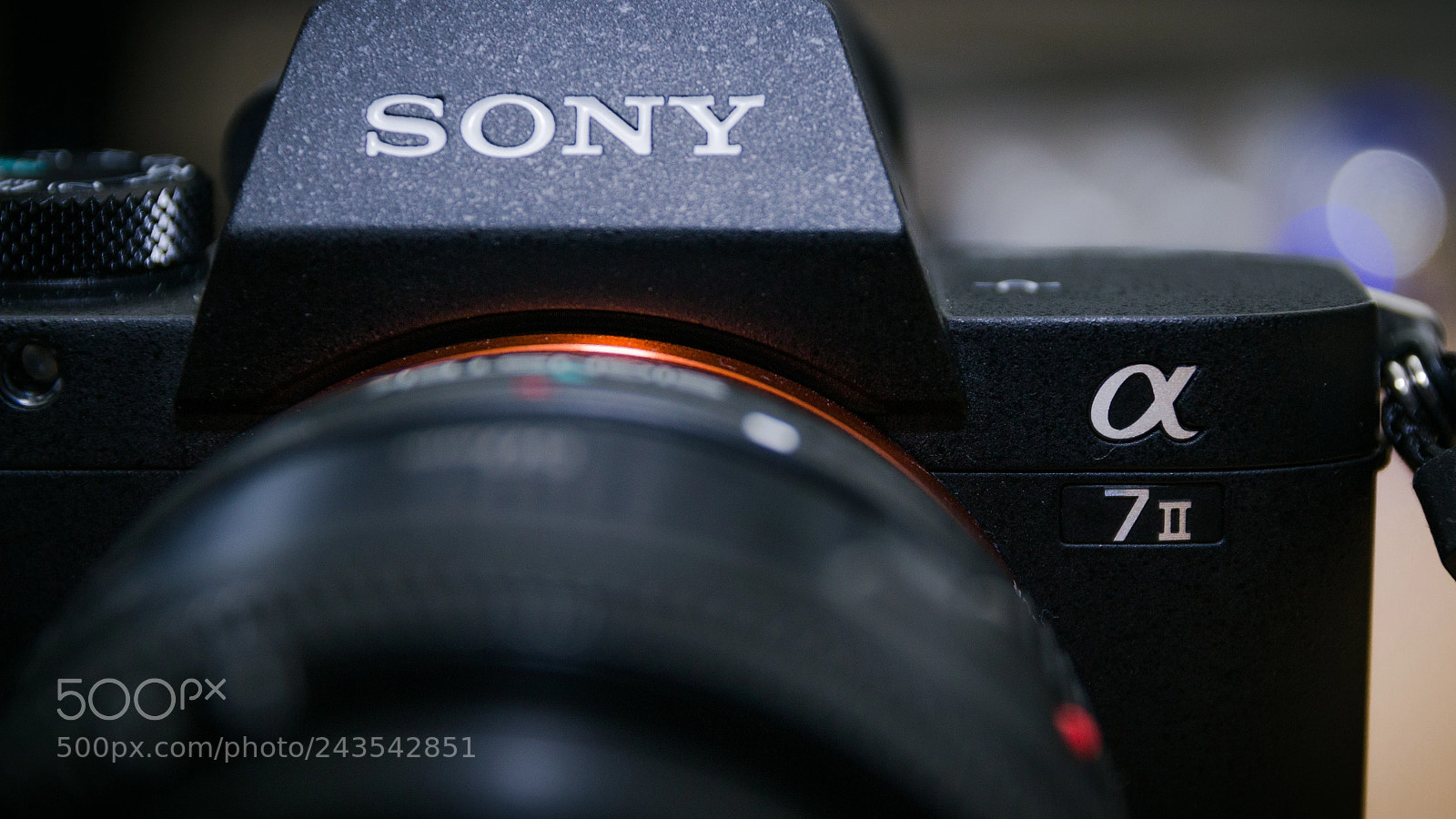 Canon EOS 600D (Rebel EOS T3i / EOS Kiss X5) sample photo. Sony α7  alpha 7 2 ilce-7m2 photography