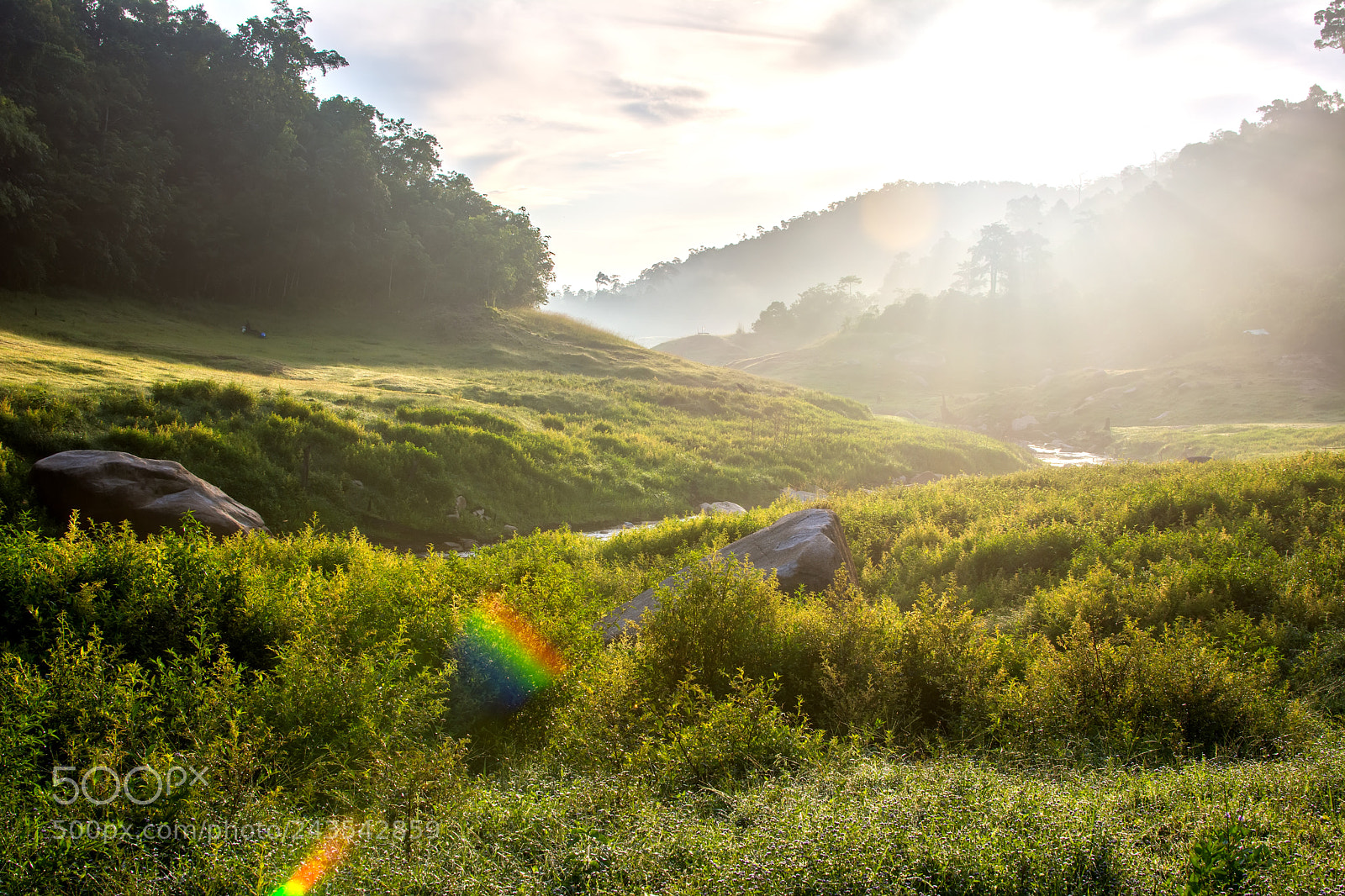 Nikon D7100 sample photo. Sunrise over forest in photography